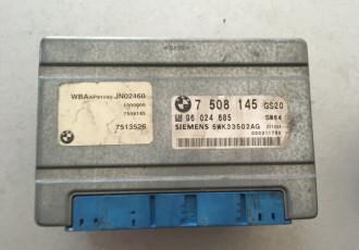 Calculator cutie BMW E46 320d 96024685