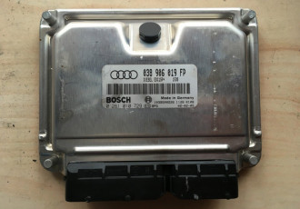 Calculator motor 038906019FP, 0281010729, Audi A4 