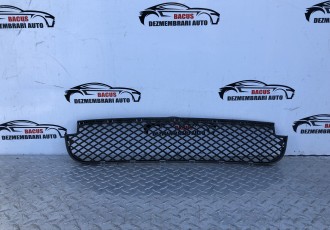 Grila bara protectie BMW E83 X3 2009; 3416203