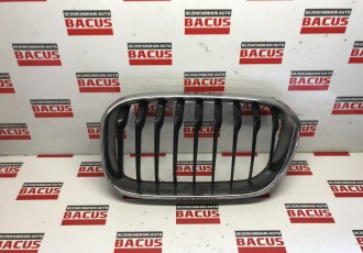 Grila Radiator BMW F20 Cod: 7371747