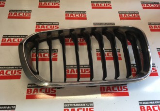 Grila radiator BMW F20 cod: 7371748