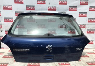 Haion Peugeot 307 2007