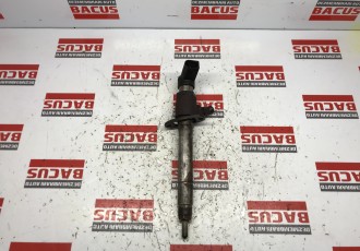 Injector Citroen C6 2.7 HDI Cod: 5U3Q9K546AA