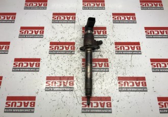 Injector Citroen C6 2.7 HDI Cod: 5U3Q9K546AA