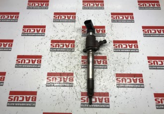 Injector Citroen C6 2.7 HDI Cod: 5U3Q9K546AA