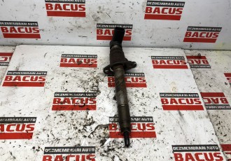 Injector Citroen C6 2.7 HDI Cod: 5U3Q9K546AA