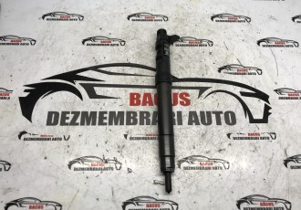 INJECTOR Ford Kuga Motor 2.0TDCI - Fabricatie 2012 - COD EMBR00101D 9686191080