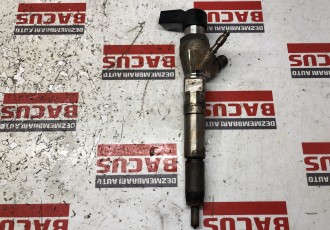 Injector Renault Kadjar / Mercedes A W176 / B W246 Dacia Sandero 2 1.5 DCI Cod : 166006212R