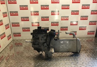 Racitor Gaze + EGR Vw Passat Audi CGL 
